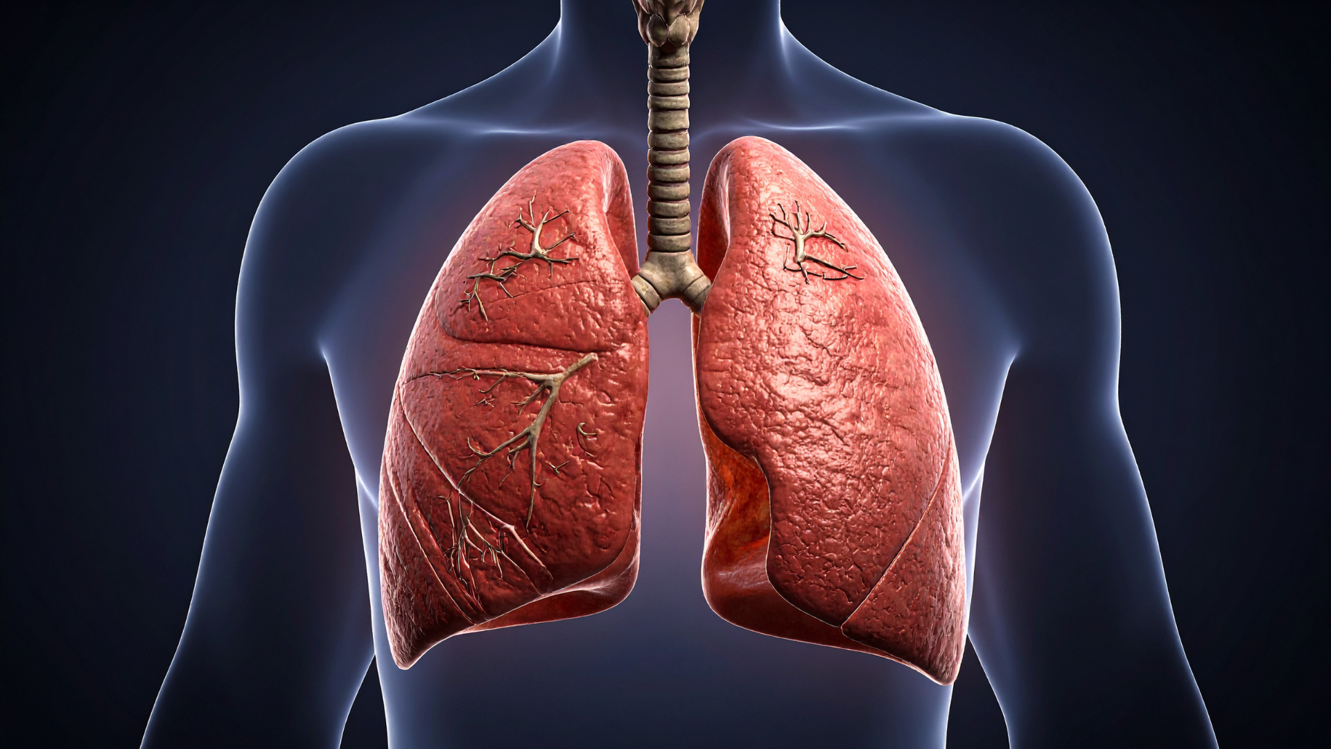 COVID-19 vs TB lungs